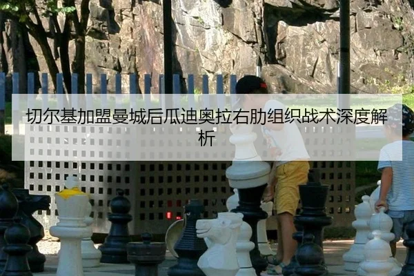 qie-er-ji-jia-meng-man-cheng-hou-gua-di-ao-la-you-le-zu-zhi-zhan-shu-shen-du-jie-xi-2-924.jpg